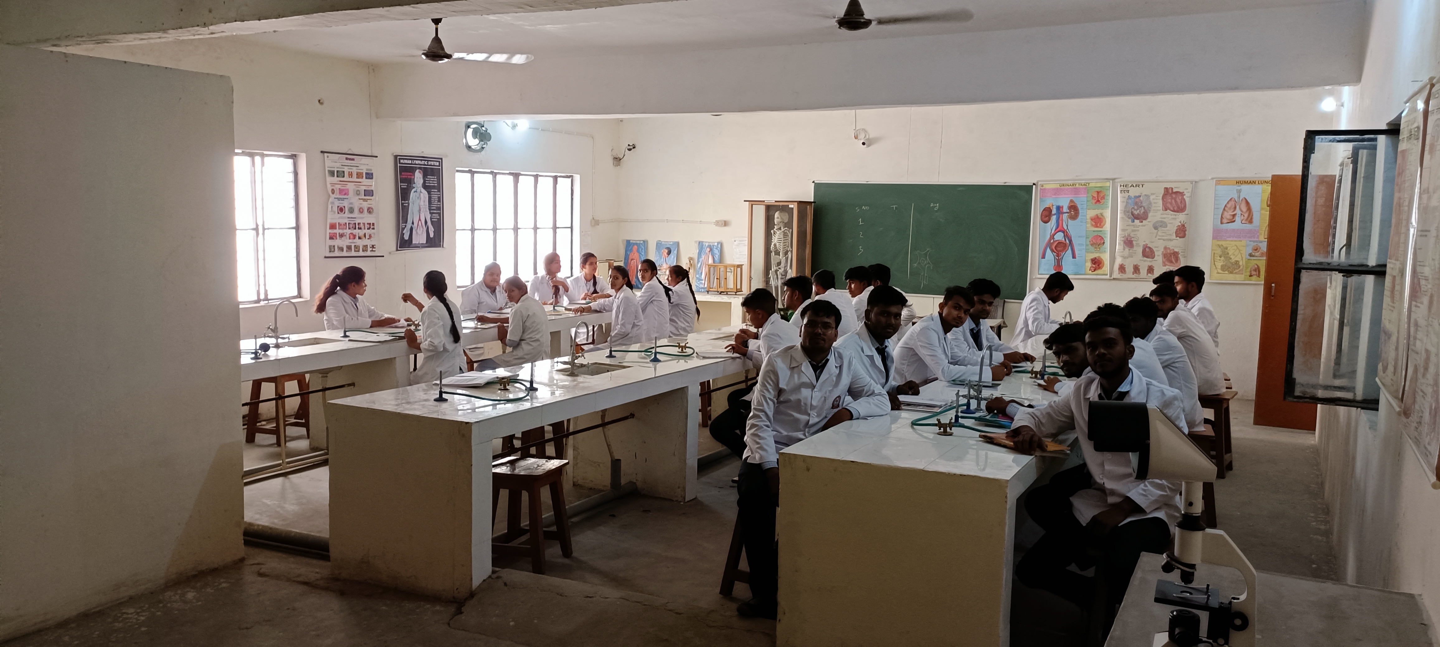 B pharma